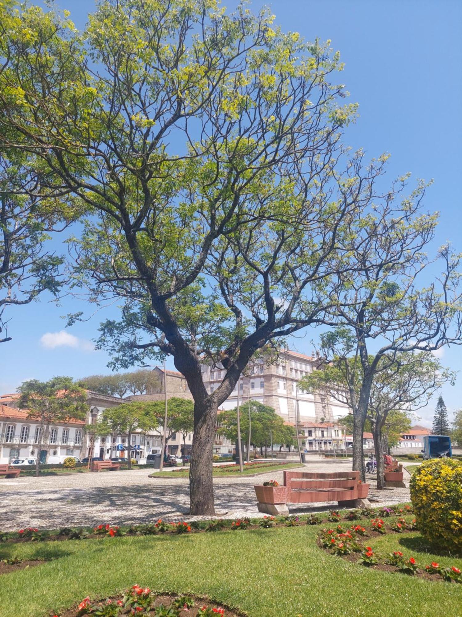 Mostarda Boutique Apartment Vila do Conde Exterior foto